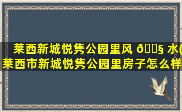 莱西新城悦隽公园里风 🐧 水(莱西市新城悦隽公园里房子怎么样)